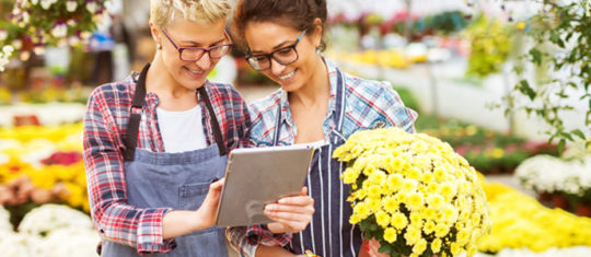 Fleuriste en ligne