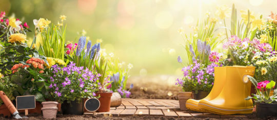 Aménager et organiser son jardin