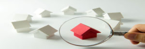 logement neuf