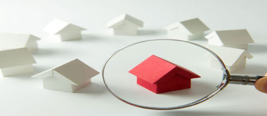 logement neuf