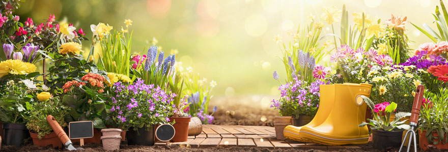 Aménager et organiser son jardin