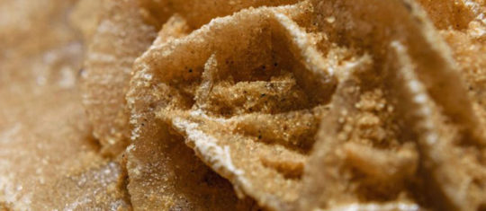 Rose des sables