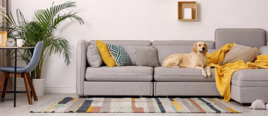 Tapis contemporain design